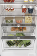 Вбудований холодильник Hotpoint Ariston HAC20 T321 - зображення 5