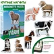 Магнитные пазлы Magdum "Ферма" ML4031-19 EN - изображение 2