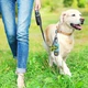 Диспенсер для пакетів із ліхтариком Dog Poop Bag Holder with Flash Light (1 рулон пакетів у комплекті), Рожевий - зображення 6