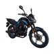 Дорожный мотоцикл Musstang Region MT250 Синий - изображение 6