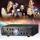 Усилитель звука USB FM MP3 караоке для двух микрофонов Bluetooth 2x120W AV-339BT - изображение 2