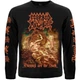 Футболка з довгим рукавом Rockway Morbid Angel "Blessed Are the Sick" Чорний, Розмір XL - изображение 1