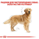 Сухой корм Royal Canin Golden Retriever Adult 12 кг (3970120) - изображение 5