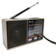 Многодиапазонное FM/AM/SW радио GOLON RX-8866 MP3-плеер, TF, USB Gold - изображение 1