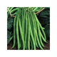 Фасоль спаржевая Королева Некар GL Seeds 10 г - изображение 2