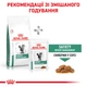 Лечебный корм Royal Canin Satiety Weight Management Feline 400 г (3943004) - изображение 9