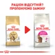 Сухой корм Royal Canin Bengal Adult 2 кг (4370020) - изображение 4