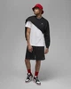 Чоловічі Шорти Jordan Brooklyn Fleece Men's Shorts(FJ7782-010) M - изображение 4
