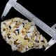 Морские раковины хиппопус парный HIPOPOS большой. Размер L/XL длина 11.5 см - 12.5 см за 1 шт - изображение 2