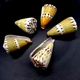 Морські мушлі Конус Conus capitaneus Linnaeus довжина 5.5 см - 6.5 см - зображення 2