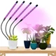 Гибкая светодиодная фитолампа ультрафиолетовая Grow Light фито лампа для выращивания растений микрозелень полный спектр фито лампа светильник для комнатных цветов рассады орхидей на 4 лампы USB - изображение 11