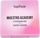 Палетка теней для век TopFace Maestro Academy Eyeshadow Bar 003 Cherry Passion 7 г (8681217250703) - изображение 2