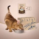 Консервированный корм Club 4 Paws Premium Plus Selection - влажный корм с кусочками курицы и телятины в соусе для кошек 80 г (B5630901) - изображение 7