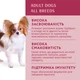 Консервований корм Optimeal Adult Dogs Beef & Cranberry jelly - вологий корм із яловичиною та журавлиною в желе для дорослих собак 100 г (B2910702) - зображення 3