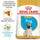 Сухой корм Royal Canin Pug Puppy 1.5 кг (41300151) - изображение 2