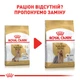 Сухой корм Royal Canin Yorkshire Terrier Ageing 8+ 1,5 кг (1260015) - изображение 3