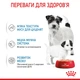 Консервированный корм Royal Canin Starter mother & babydog mousse 195 г (4077002) - изображение 3