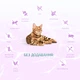 Сухой корм Optimeal Beauty Harmony Mild Calming Effect Сухой корм с морепродуктами для взрослых кошек 4 кг (B1842301) - изображение 3