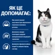 Лечебный корм Hill's PD Feline I/D ActiveBiome+ 8 кг (606451) - изображение 4