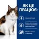 Лечебный корм Hill's PD Feline W/D Лечебный сухой корм при сахарном диабете и ожирении у взрослых кошек 3 кг (605849) - изображение 5