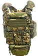 Плитоноска Plate Carrier с напашником multicam - изображение 1