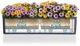 Вазон Lechuza Balconera Color 80 Светло-серый (15707 / 4008789157072) - изображение 4