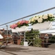 Вазон Lechuza Balconera Color 80 Светло-серый (15707 / 4008789157072) - изображение 7