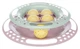 Іграшка для кішок Trixie Junior Kitten Circle трек з кульками ø 24 см (TX-41340) - зображення 1