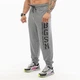 Штаны спортивные Big Sam 1279 XXXL серые - изображение 2