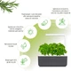 Гидропонная установка Click and Grow 7229 Smart Garden 3 Серый - изображение 2