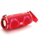 Портативная колонка TG642 с RGB подсветкой и ремешком Red - изображение 1