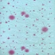 Самоклеящаяся 3D панель голубые одуванчики 700х770х4мм (322) SW-00001362 - изображение 1