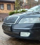 Зимняя накладка на решетку (нижняя) Глянцевая для Skoda Octavia II A5 2006-2010 гг - изображение 3