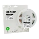 LED Стрічка SMD2835 60 діодів/m 5m 9.6W 24V 980lm 4200K [4262380661073] LED/ROLL-5m/4200K(60) EUROLAMP - зображення 1