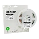 LED Стрічка COB 480 діодів 10W 24V 1050lm 6500K [4262380661349] LED/ROLL-5m/6500K(480) EUROLAMP - зображення 1