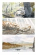 Коді - Джаред Каллем (9786177984169) - изображение 2