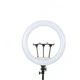 Лампа Кольцевая LED 45 cm 18" 256 Lights Touch Switch Adapter LJJ-45 - изображение 3