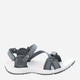 Sandały damskie sportowe Jack Wolfskin Lakewood Ride Sandal W 4019041-1597 43 Szary/Różowy (4064993183504) - obraz 1