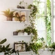 Полка для картин IKEA MALMBACK МАЛЬМБЭКК, белый, 60 см, 204.462.36 - изображение 5
