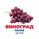 Набор развивающих карточек Гений с пеленок "Фрукты и ягоды" Ранок 10107195У, 17 карточек - изображение 3