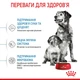 Сухой корм Royal Canin Medium Starter Mother & Babydog 1 кг (2993010) - изображение 4
