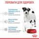 Сухой корм Royal Canin Mini Starter Mother & Babydog 1 кг (2990010) - изображение 4