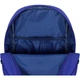 Рюкзак на 2 отдела Bagland Young 13 л. 0051066 Електрик - изображение 4