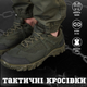 Тактические кроссовки Energy olive 45 - изображение 4