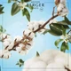 Wkład do odświeżacza samochodowego Maison Berger Paris Cotton Caress (3127290064349) - obraz 2