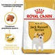 Сухой корм Royal Canin Jack Russell Terrier Adult 1.5 кг (21000159) - изображение 2