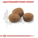 Сухой корм Royal Canin Sterilised 7+ 10 кг (2560100) - изображение 2