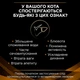 Сухой корм для кошек Purina Veterinary Diets Renal Function с патологией почек 1,5кг - изображение 4