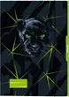 Папка картонная на резинке А3 Pelikan Panther (276917) - изображение 1