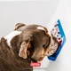 Коврик силиконовый Dexas Snack & Distract для лакомства и лизания горизонтальный Голубой (PW8502194) - изображение 3